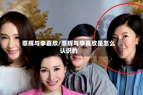 覃辉与李嘉欣/覃辉与李嘉欣是怎么认识的-第3张图片