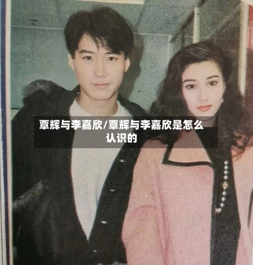 覃辉与李嘉欣/覃辉与李嘉欣是怎么认识的-第2张图片