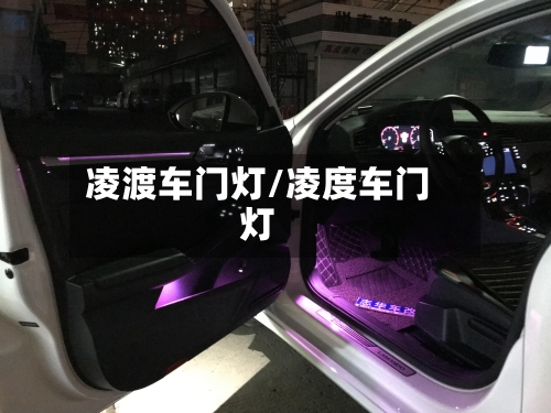 凌渡车门灯/凌度车门灯-第2张图片