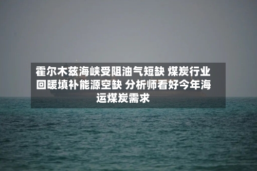 霍尔木兹海峡受阻油气短缺 煤炭行业回暖填补能源空缺 分析师看好今年海运煤炭需求-第2张图片