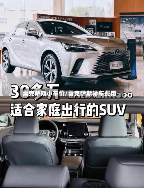 雷克萨斯小车价/雷克萨斯轿车费用-第1张图片