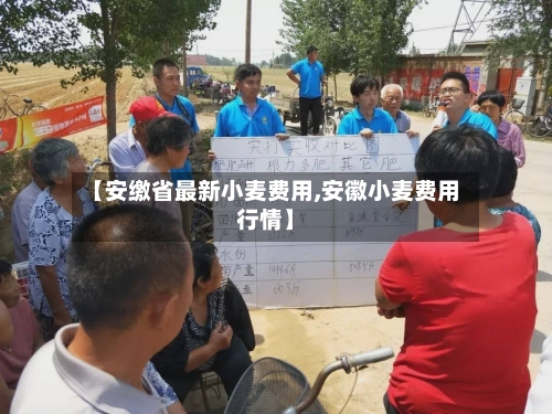 【安缴省最新小麦费用,安徽小麦费用行情】-第3张图片