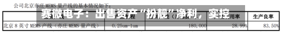 赛微电子：出售资产“扮靓”净利，实控人拟套现逾11亿元-第2张图片