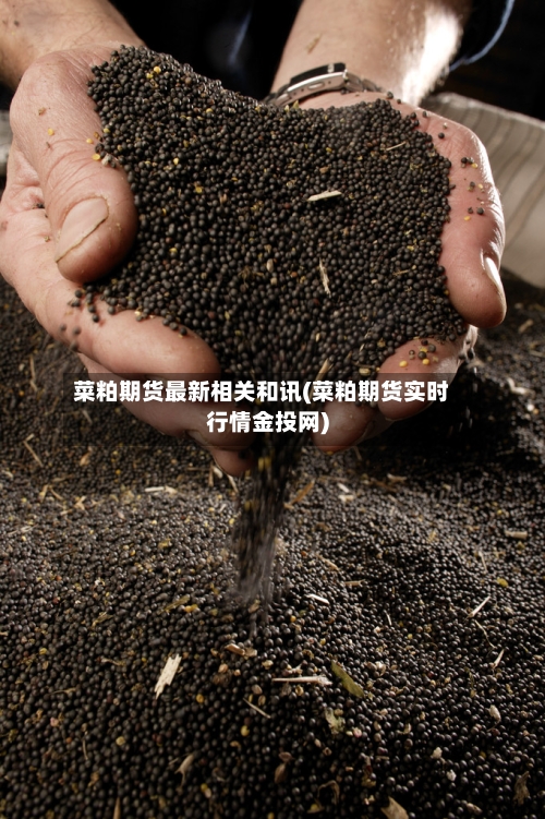 菜粕期货最新相关和讯(菜粕期货实时行情金投网)-第1张图片