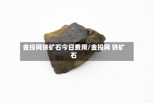 金投网铁矿石今日费用/金投网 铁矿石-第3张图片