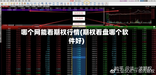 哪个网能看期权行情(期权看盘哪个软件好)-第1张图片