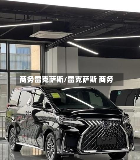 商务雷克萨斯/雷克萨斯 商务-第3张图片