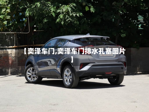 【奕泽车门,奕泽车门排水孔塞图片】-第1张图片