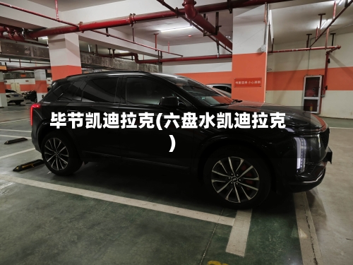 毕节凯迪拉克(六盘水凯迪拉克)-第1张图片