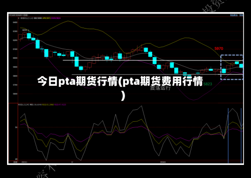 今日pta期货行情(pta期货费用行情)-第1张图片