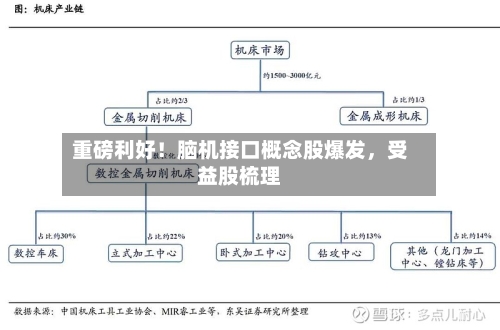 重磅利好！脑机接口概念股爆发	，受益股梳理-第1张图片