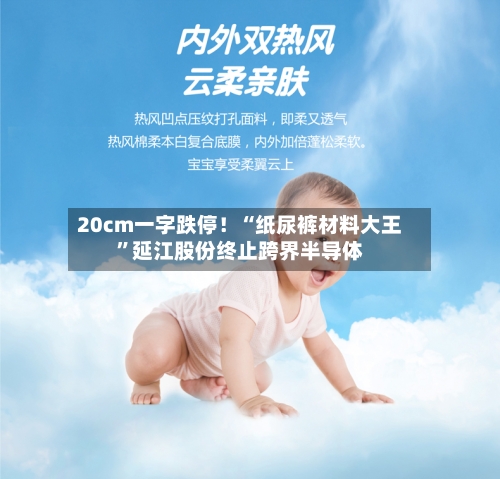 20cm一字跌停！“纸尿裤材料大王	”延江股份终止跨界半导体-第2张图片