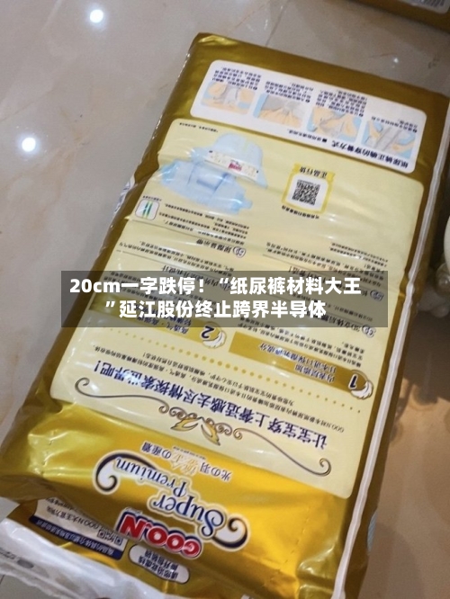 20cm一字跌停！“纸尿裤材料大王”延江股份终止跨界半导体-第1张图片