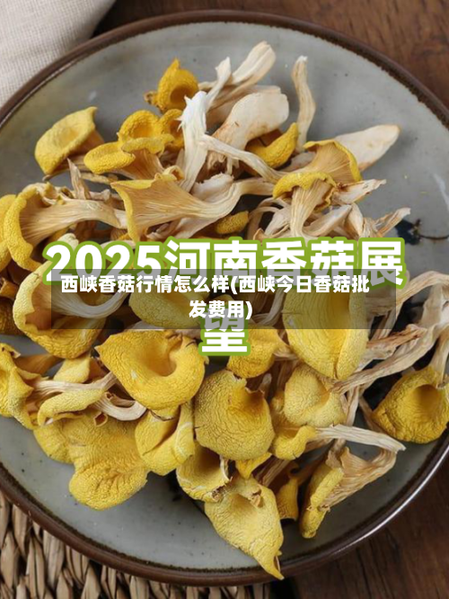 西峡香菇行情怎么样(西峡今日香菇批发费用)-第3张图片