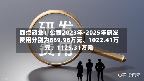 西点药业：公司2023年-2025年研发费用分别为869.98万元、1022.41万元、1125.31万元-第1张图片