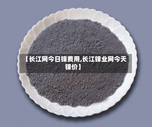 【长江网今日镍费用,长江镍业网今天镍价】-第1张图片