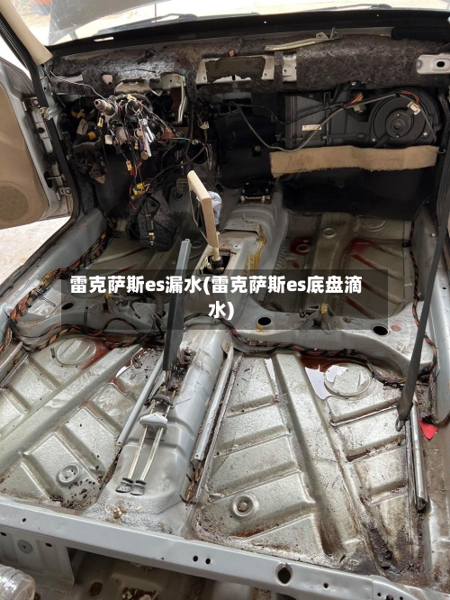 雷克萨斯es漏水(雷克萨斯es底盘滴水)-第1张图片