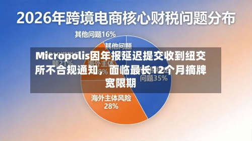 Micropolis因年报延迟提交收到纽交所不合规通知，面临最长12个月摘牌宽限期-第1张图片