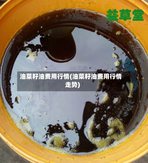 油菜籽油费用行情(油菜籽油费用行情走势)-第2张图片