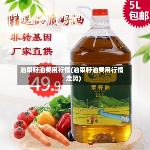 油菜籽油费用行情(油菜籽油费用行情走势)-第1张图片