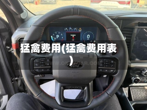 猛禽费用(猛禽费用表)-第1张图片