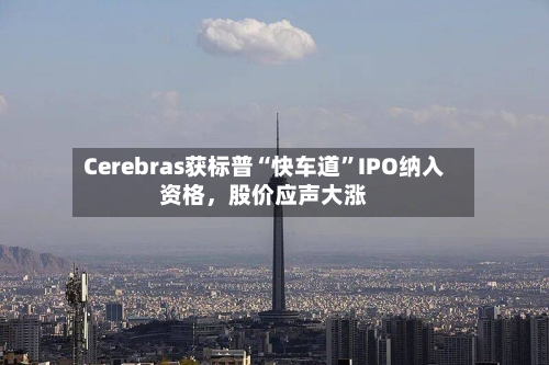 Cerebras获标普“快车道”IPO纳入资格，股价应声大涨-第2张图片