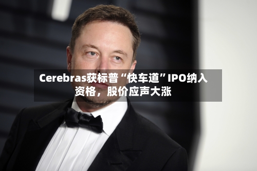 Cerebras获标普“快车道	”IPO纳入资格，股价应声大涨-第3张图片