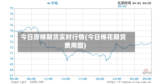 今日原棉期货实时行情(今日棉花期货费用图)-第2张图片