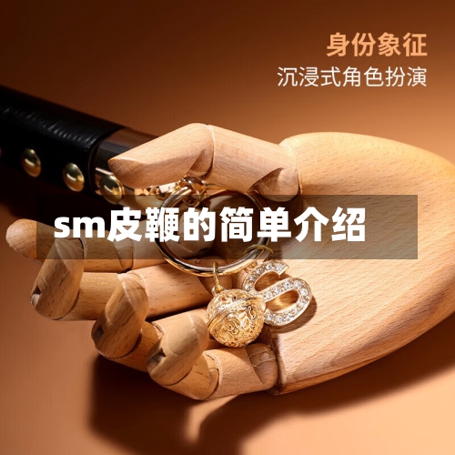 sm皮鞭的简单介绍-第2张图片