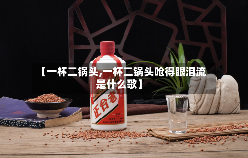 【一杯二锅头,一杯二锅头呛得眼泪流是什么歌】-第1张图片