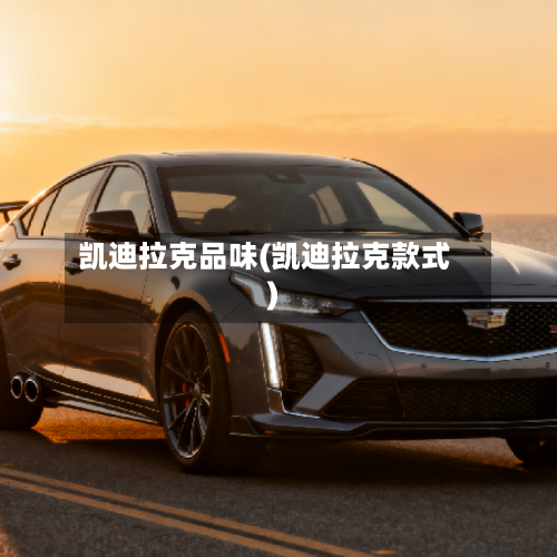 凯迪拉克品味(凯迪拉克款式)-第2张图片