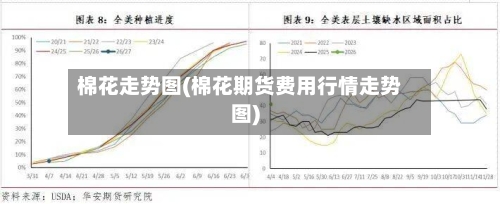 棉花走势图(棉花期货费用行情走势图)-第1张图片