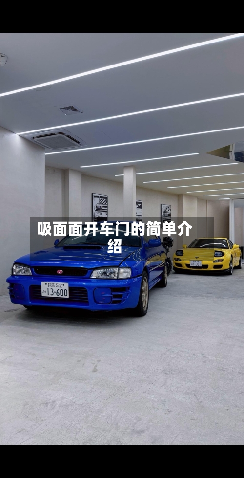 吸面面开车门的简单介绍-第1张图片