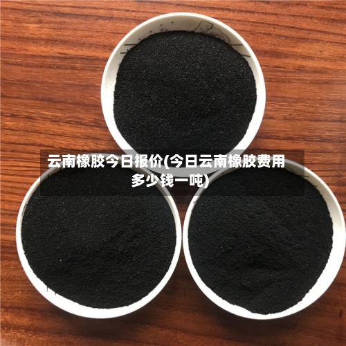 云南橡胶今日报价(今日云南橡胶费用多少钱一吨)-第3张图片