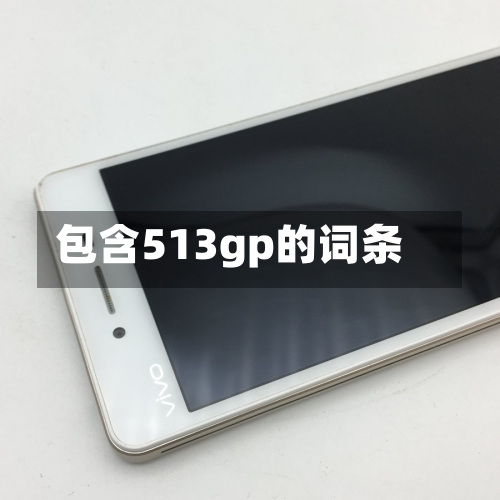 包含513gp的词条-第2张图片