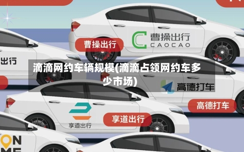 滴滴网约车辆规模(滴滴占领网约车多少市场)-第2张图片