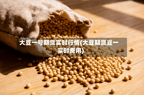 大豆一号期货实时行情(大豆期货豆一实时费用)-第2张图片