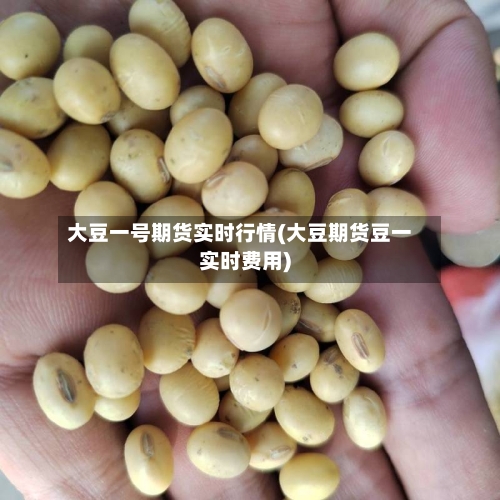大豆一号期货实时行情(大豆期货豆一实时费用)-第3张图片