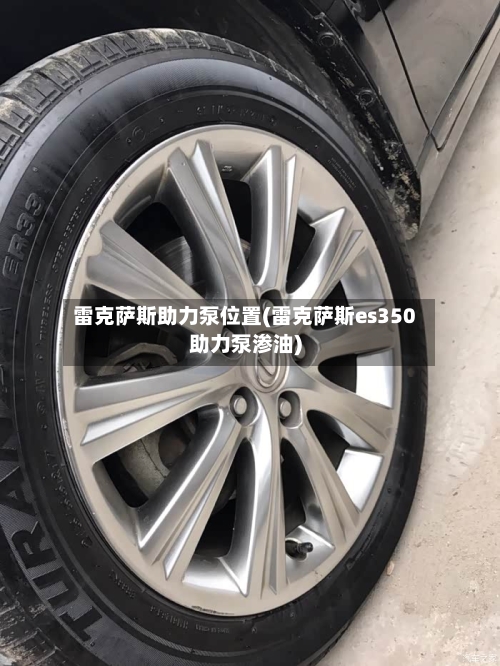 雷克萨斯助力泵位置(雷克萨斯es350助力泵渗油)-第3张图片