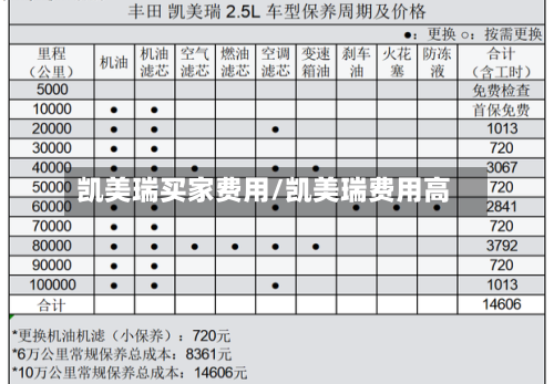 凯美瑞买家费用/凯美瑞费用高-第1张图片