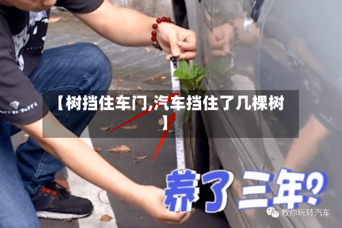 【树挡住车门,汽车挡住了几棵树】-第1张图片