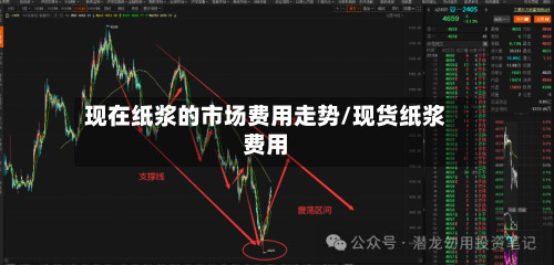 现在纸浆的市场费用走势/现货纸浆费用-第1张图片