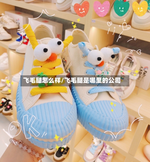 飞毛腿怎么样/飞毛腿是哪里的公司-第3张图片