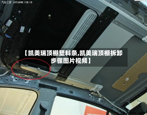 【凯美瑞顶棚塑料条,凯美瑞顶棚拆卸步骤图片视频】-第2张图片