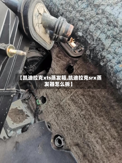 【凯迪拉克xts蒸发箱,凯迪拉克srx蒸发器怎么拆】-第1张图片