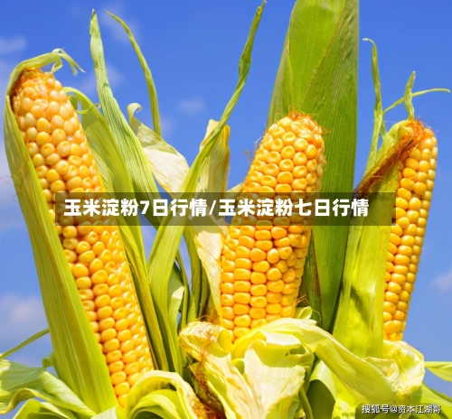 玉米淀粉7日行情/玉米淀粉七日行情-第1张图片