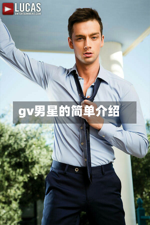 gv男星的简单介绍-第1张图片