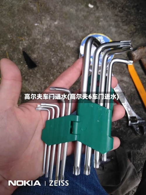 高尔夫车门进水(高尔夫6车门进水)-第2张图片