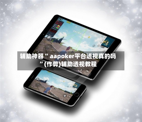 辅助神器“ aapoker平台透视真的吗”(作弊)辅助透视教程-第3张图片