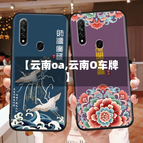 【云南oa,云南O车牌】-第2张图片